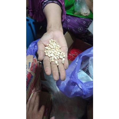 kacang Sayur /Kacang Tolo / Kacang Putih /Kacang Tunggak (1.000 gram)