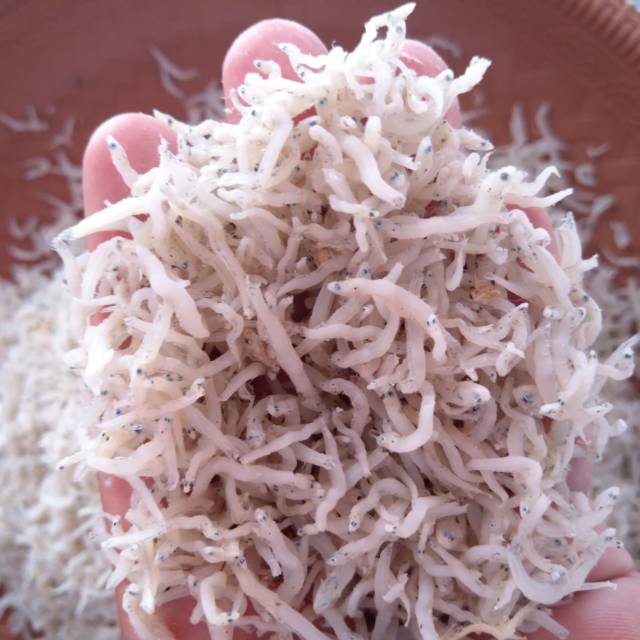 

TERI MEDAN