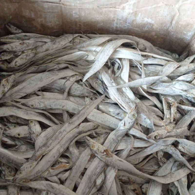 

ikan layur asin 1kg