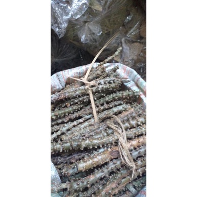 

BRATAWALI SEGAR PREMIUM PILIHAN MURAH-1KG