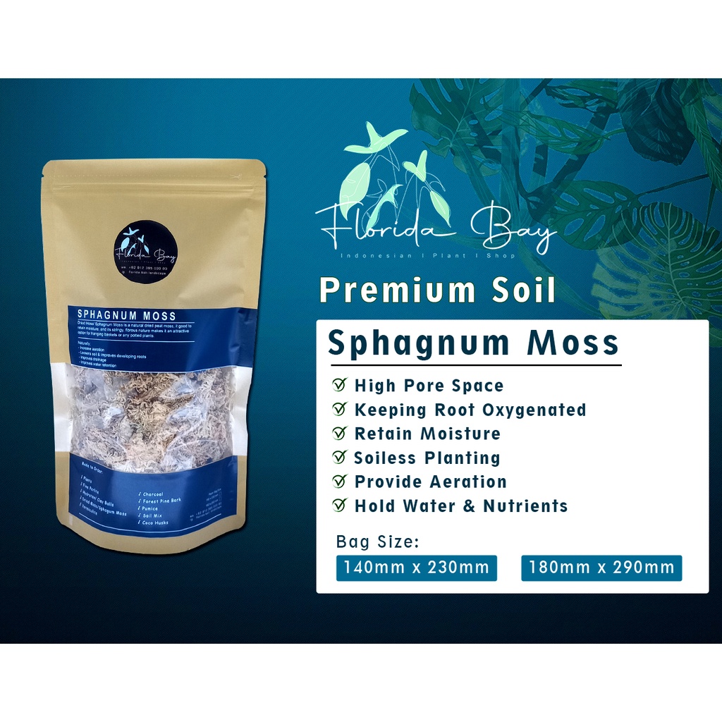 Sphagnum Moss - Moss Kering - Lumut Kering
