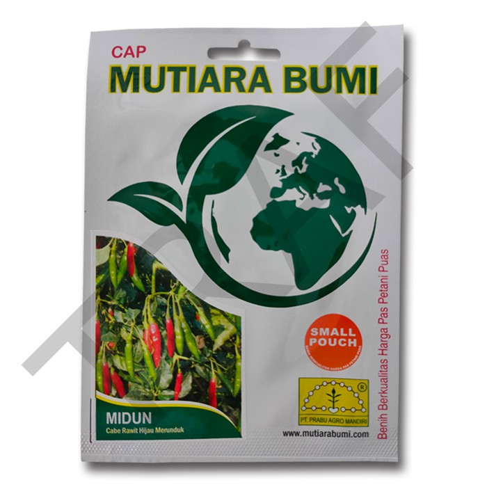 BENIH CABAI RAWIT HIJAU MERUNDUK MIDUN ISI 500 BUTIR CAP MUTIARA BUMI