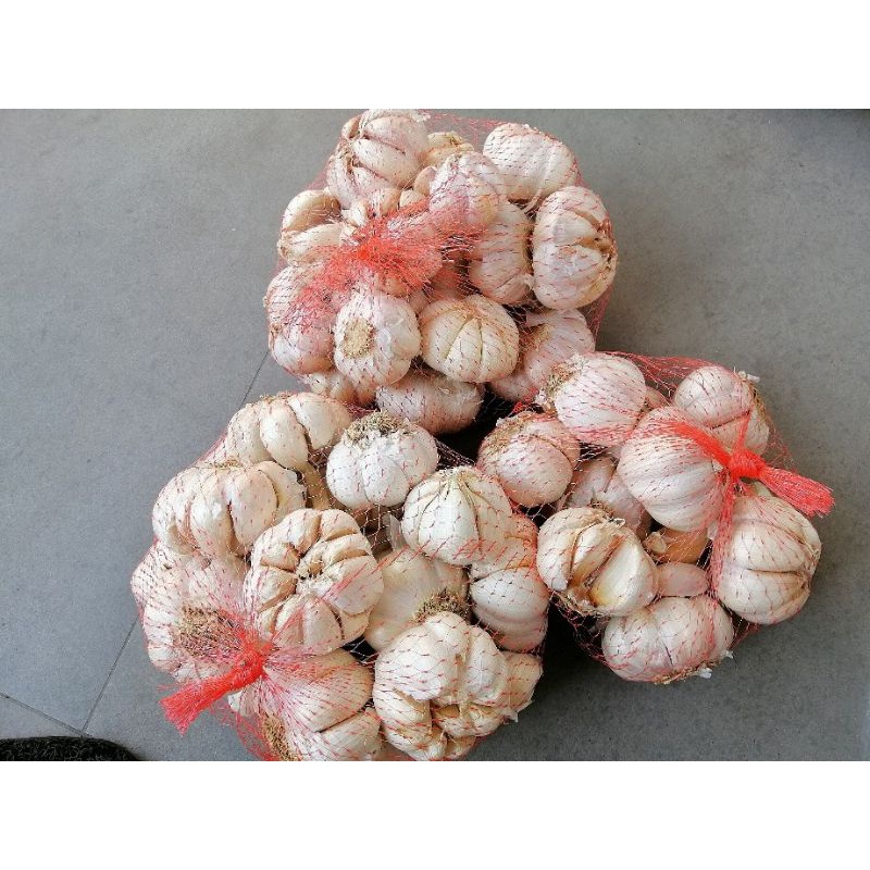 

BAWANG PUTIH TERMURAH 1 kg bagus