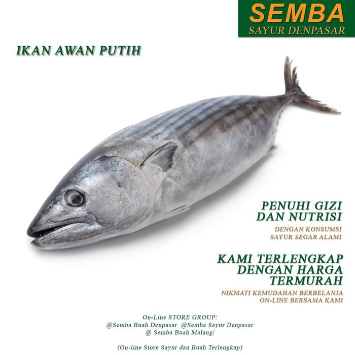 

IKAN AWAN PUTIH seafood DENPASAR BALI sembako bumbu lauk buah food bahan makanan murah fresh