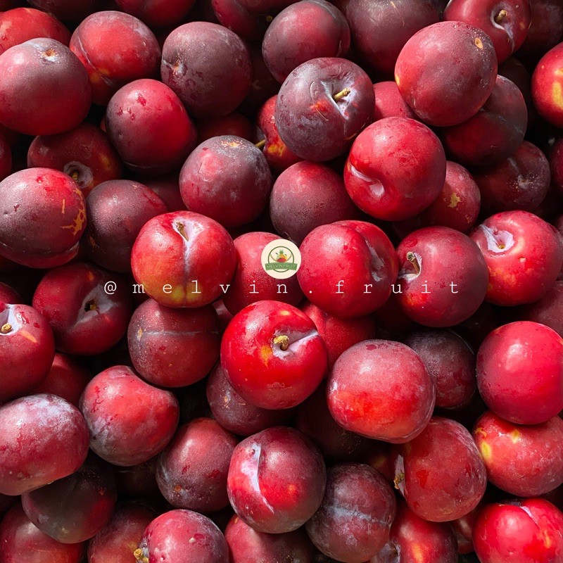 

Buah Red Plum china 500gr