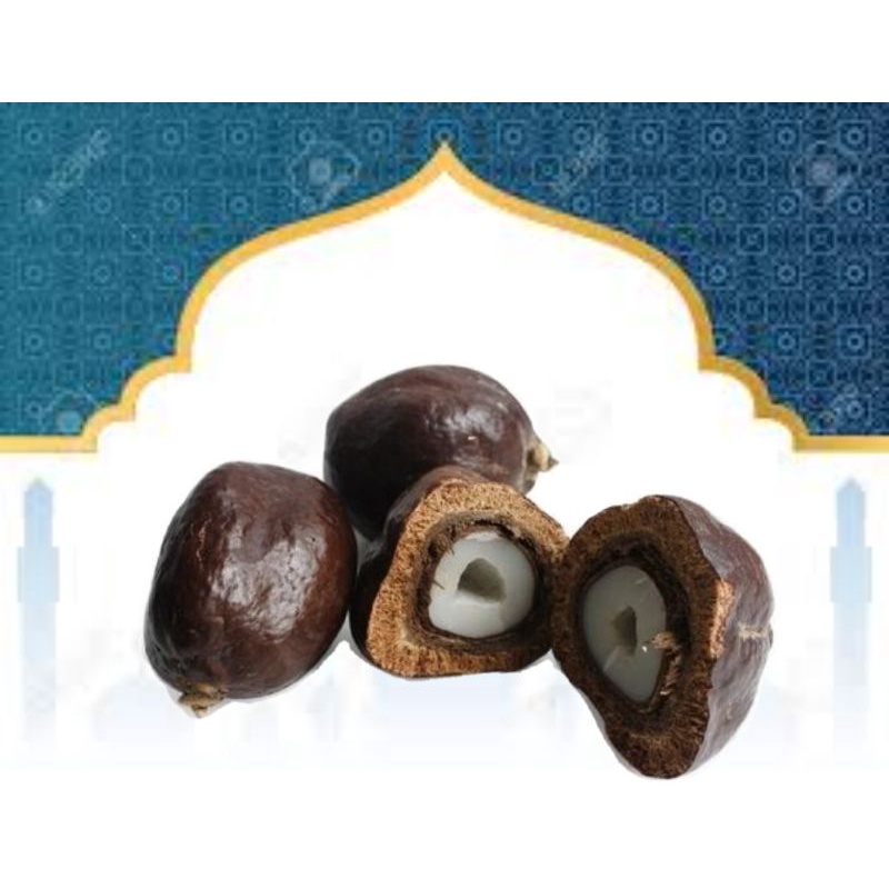 

Buah zuriat original madinah