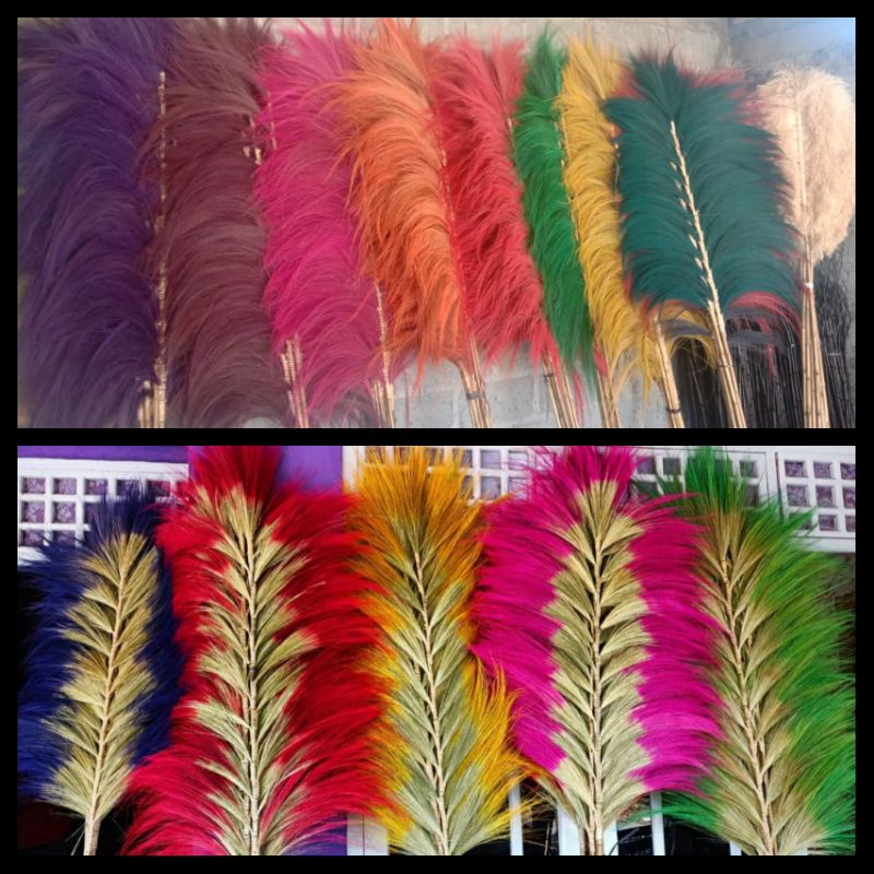 Jual Home Decor Rayung Anek Warna Rayung Rustic Rayung Natural Rayung Pampas Rayung Penebah Termurah