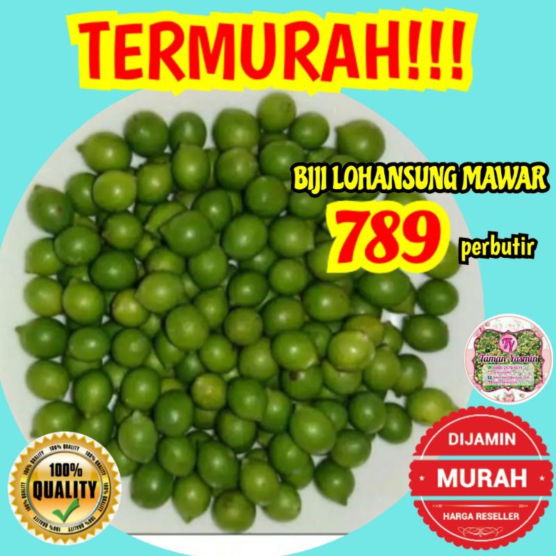TERLARIS  BIJI LOHANSUNG MAWAR PERBUTIR