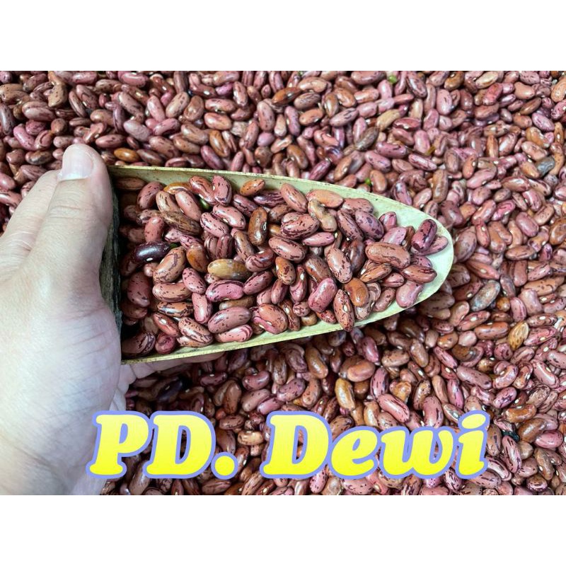 

kacang merah 1 kg