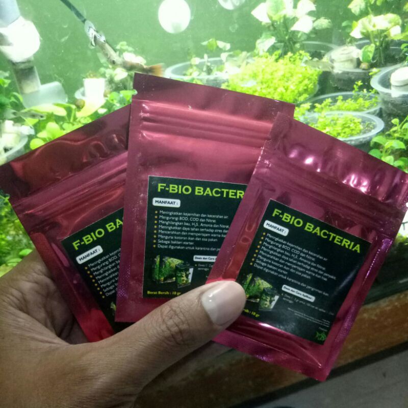 Bakteri Starter Bubuk "F-Bio Bakter"