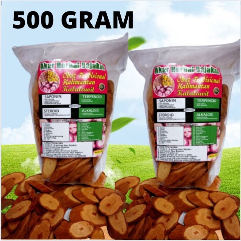 

AKAR BAJAKAH KALALWIT MERAH 500 GRAM ASLI 100% / KAYU BAJAKAH HERBAL