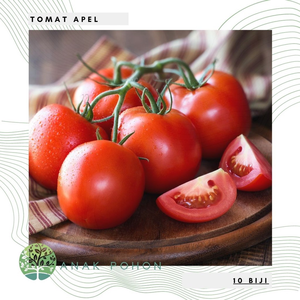 Benih / Bibit Tomat Apel - IMPORT (10 Biji) - WISATA AGROTANI