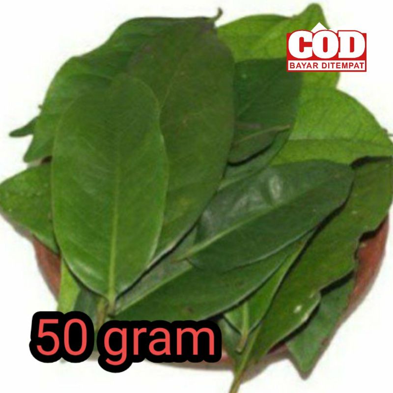 

DAUN SALAM SEGAR 50 GRAM_ DI PETIK SAAT ADA PESANAN
