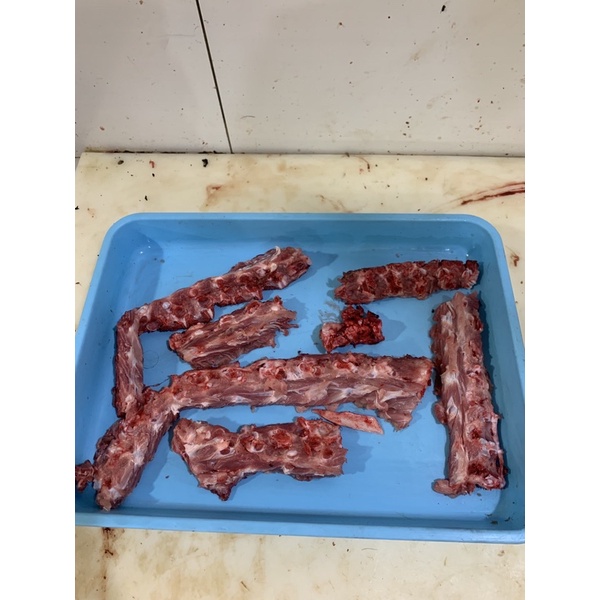 

TULANG KELABANG BABI FRESH