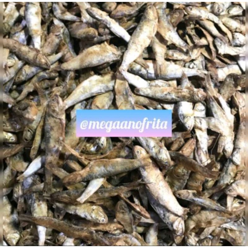 

Ikan Tarubuak Ikan Terubuk 1 KG