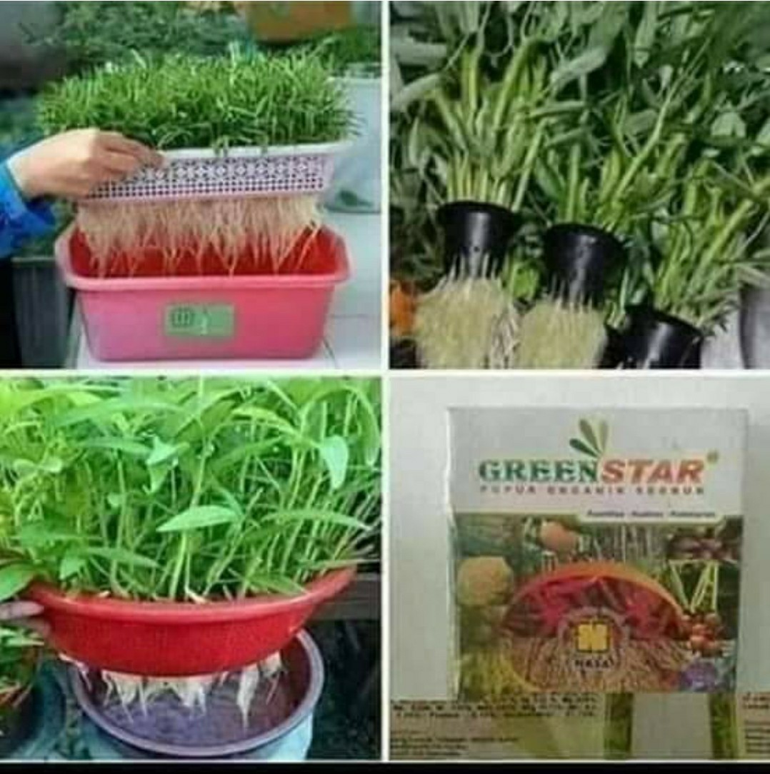 Greenstar Pupuk Organik Serbuk