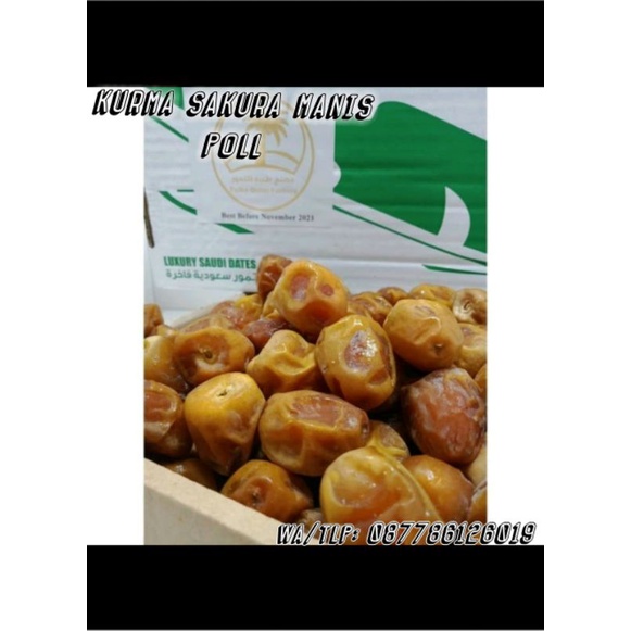 

terlariss kurma sukkari manis poll 1 box