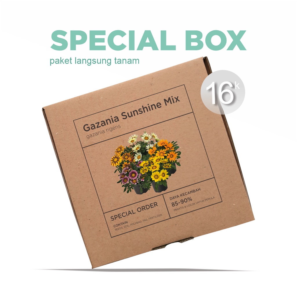 Paket Langsung Tanam - Gardening Kit - SPECIAL BOX - Benih Bunga Gazania Sunshine Mixed Flower Seeds