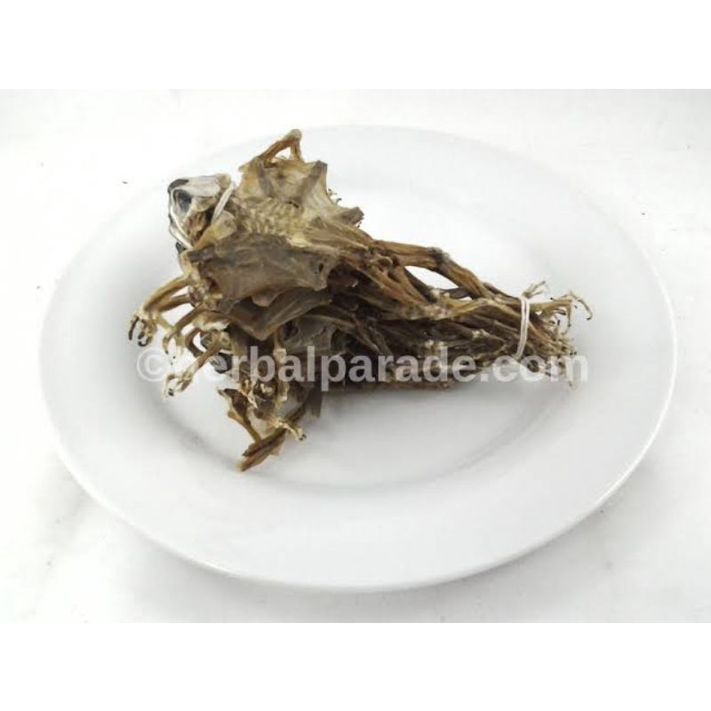 

1 Ekor & 1 Pasang 蟾皮 Chan Pi Ha Ma Gan 蛤蟆干 Toad Skin Katak Kering