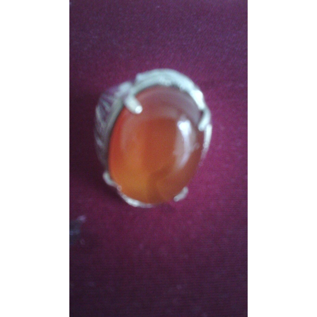 red raflesia bengkulu