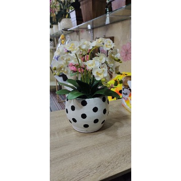 anggrek latex pot gerabah