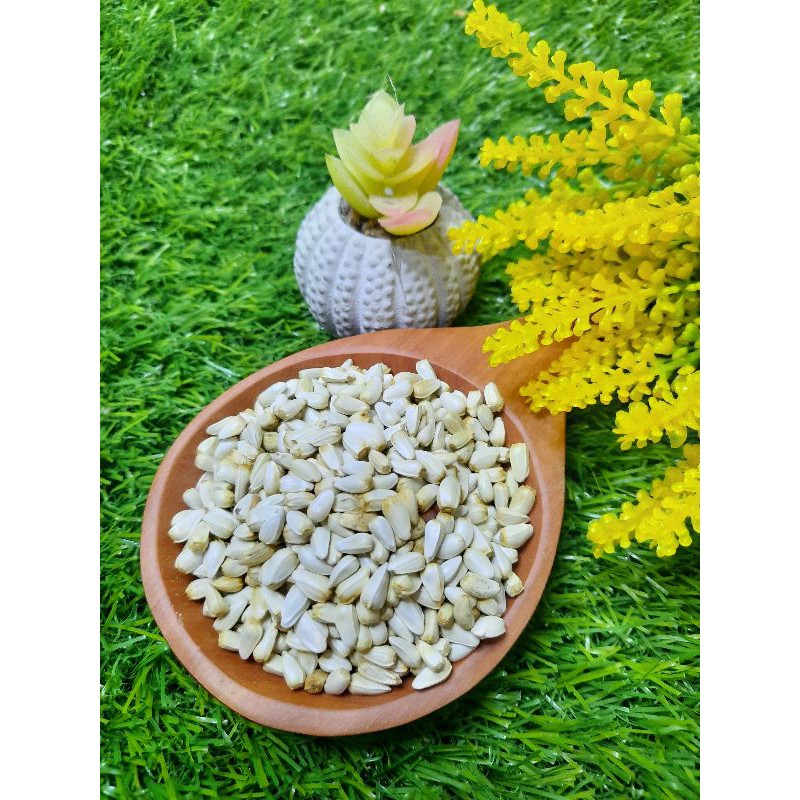 Makanan Hamster Kuaci Premium - Kuaci Putih Hamster - Camilan Hamster