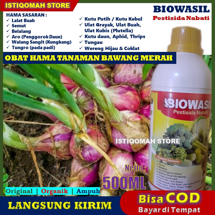 BIOWASIL 500ml Pestisida Nabati Obat Pembasmi Hama Ulat Tanah Tanaman Bawang Merah, Ulat Grayak, Ula