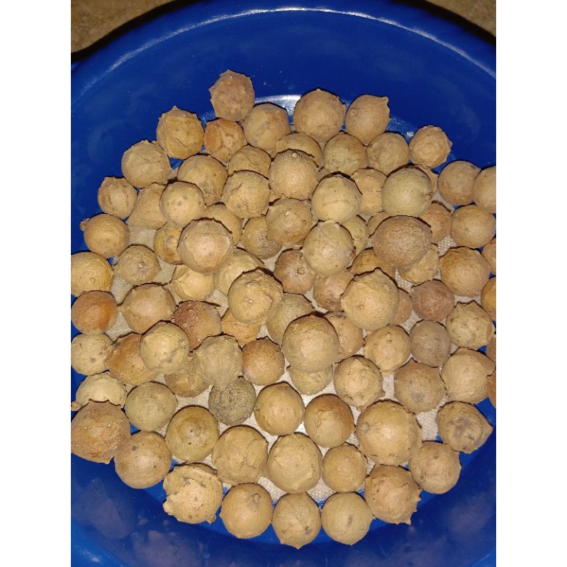 

majakani khanza ready stok gak banyak siap kirim
