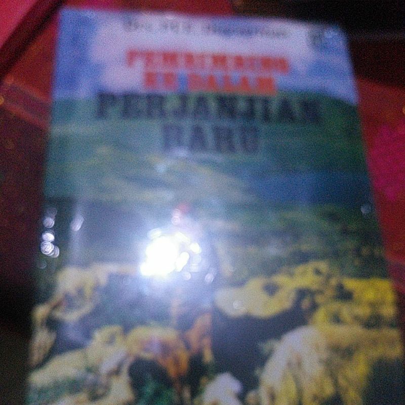 Buku pembimbing ke dalam perjanjian baru