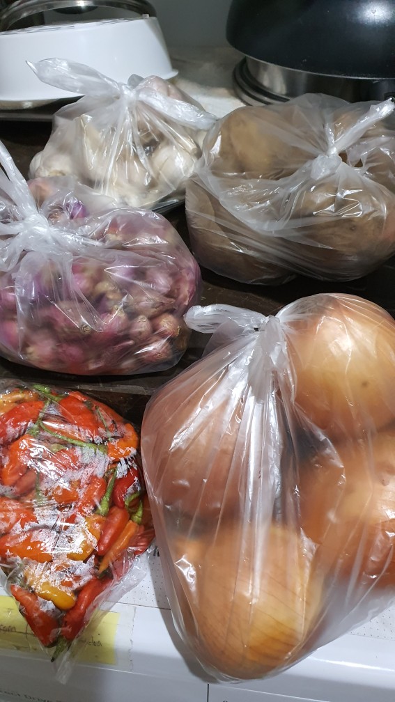 Bawang Bombay 1kg Import Newzealand Termurah