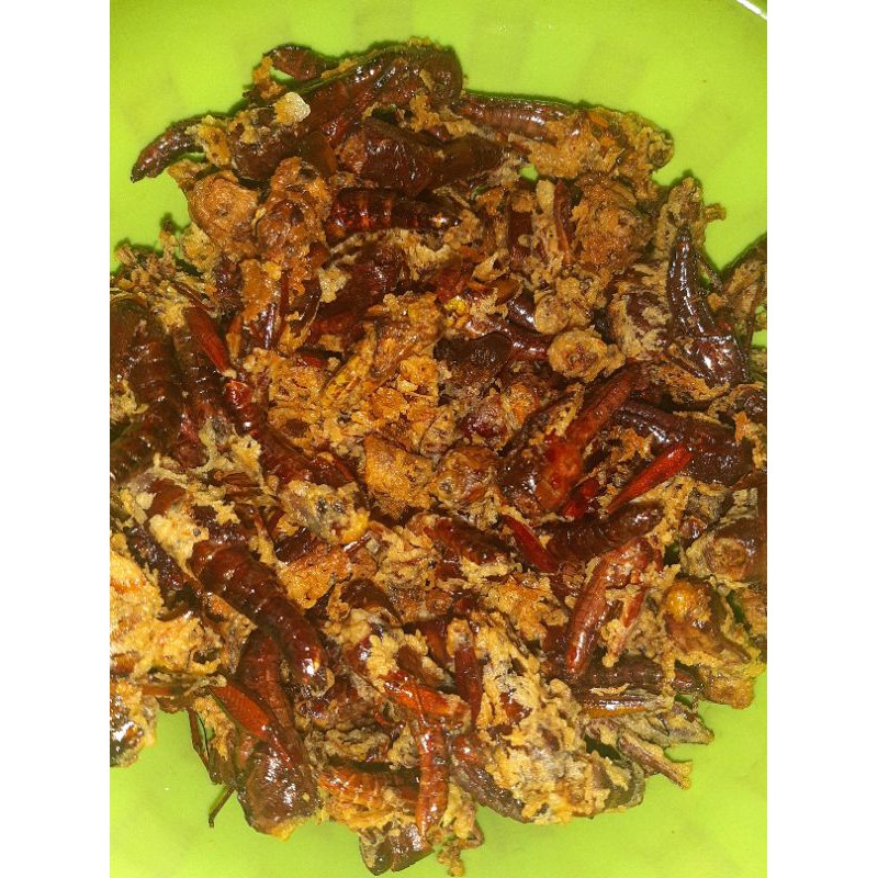 

Belalang Goreng ( keripik Walang )