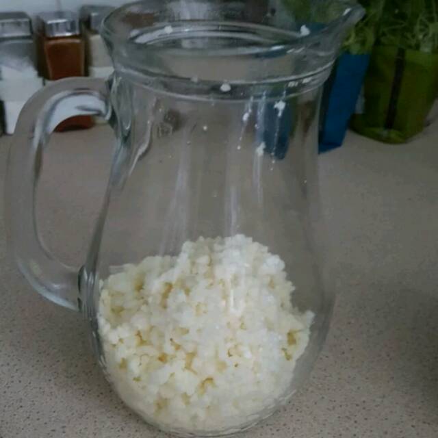 

Bibit kefir grains kefir