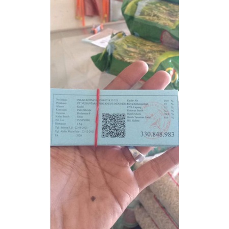 bibit padi hibrida .bridantara8