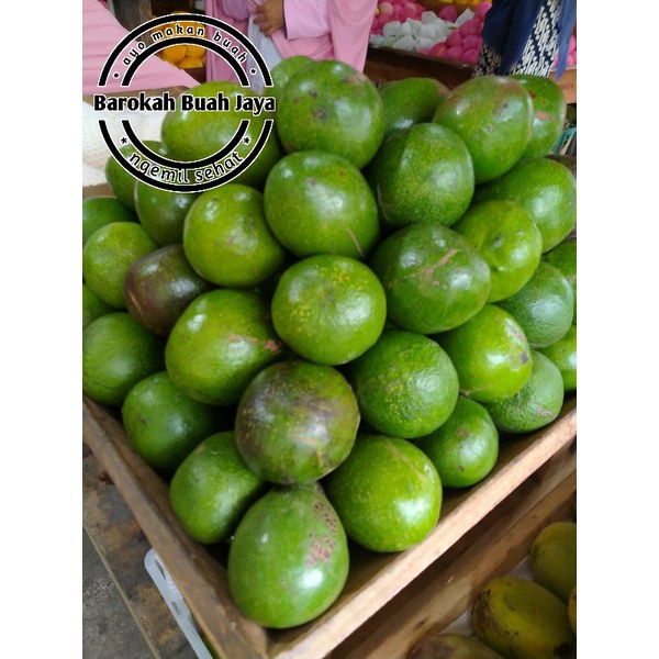 

ALPUKAT MENTEGA 1KG