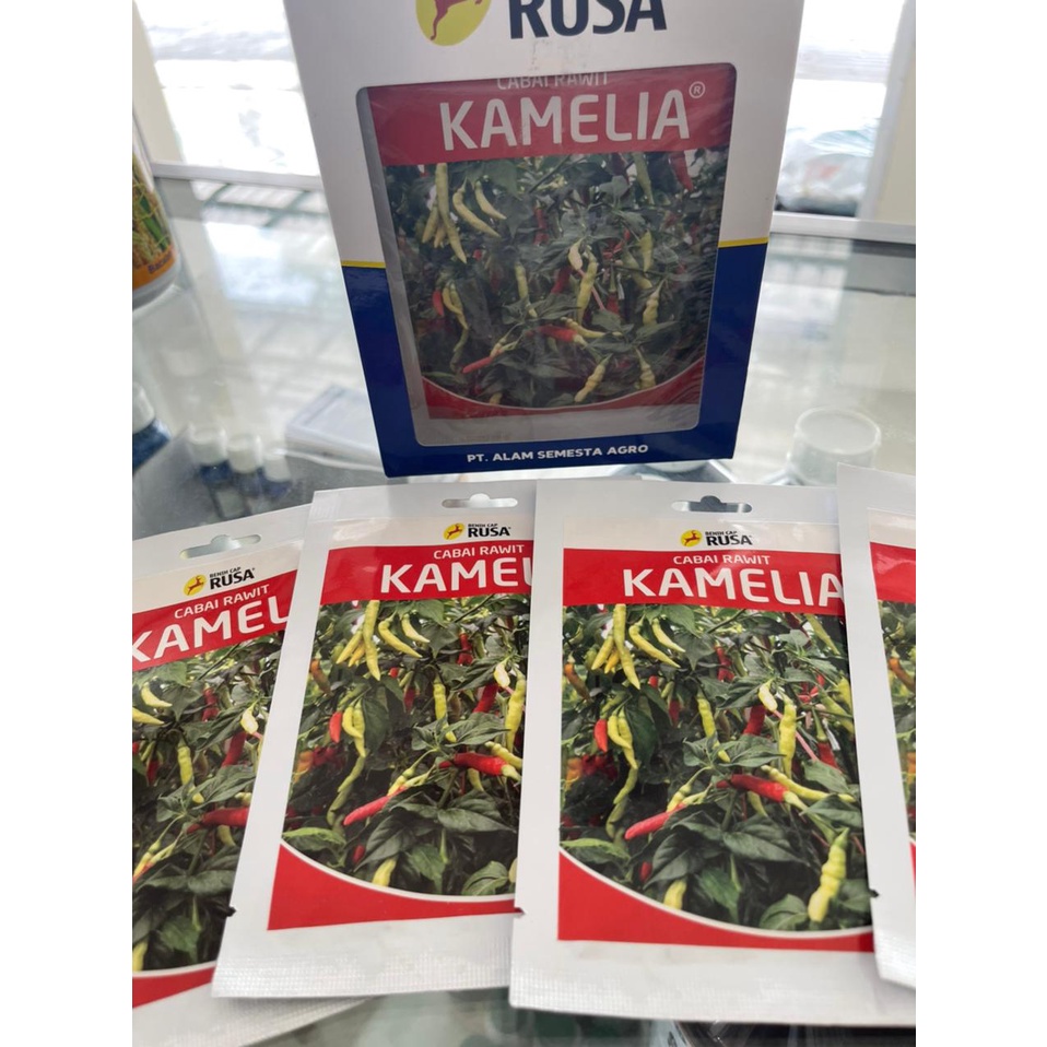 BENIH CABAI RAWIT KAMELIA CAP RUSA