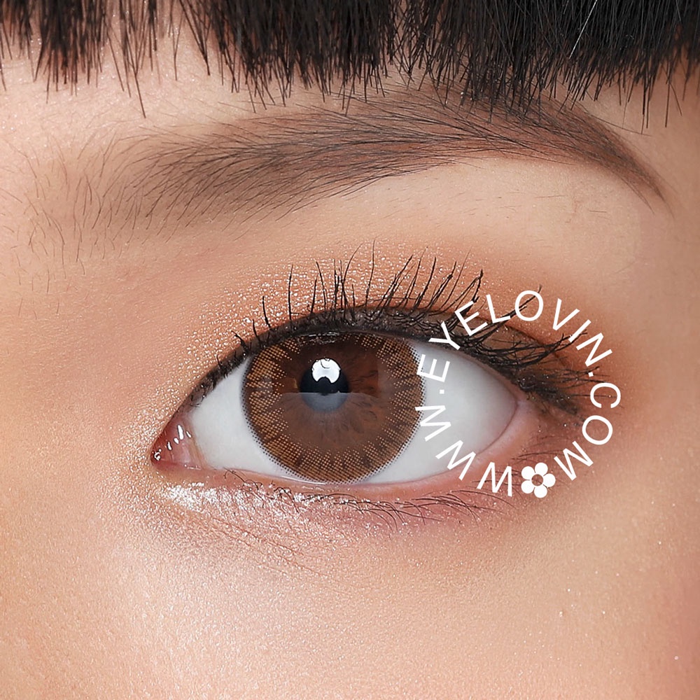 Eyelovin x Patricia Stephanie Softlens Neo Cosmo - Autumn Brown / Grey (Buy 1 Get 1)