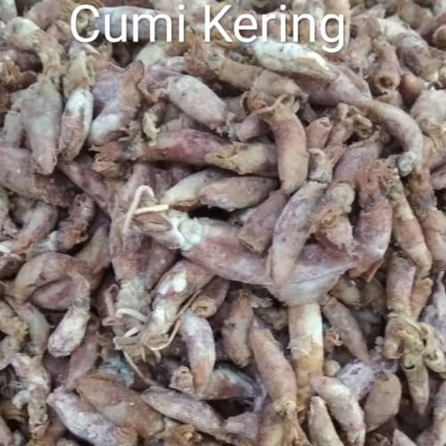 

Cumi kering / cumi baby kering