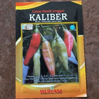 Benih Cabai Rawit Kaliber