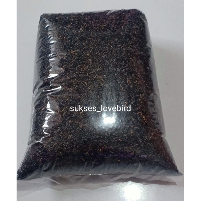 Niger seed 1 kg nigger pakan kenari