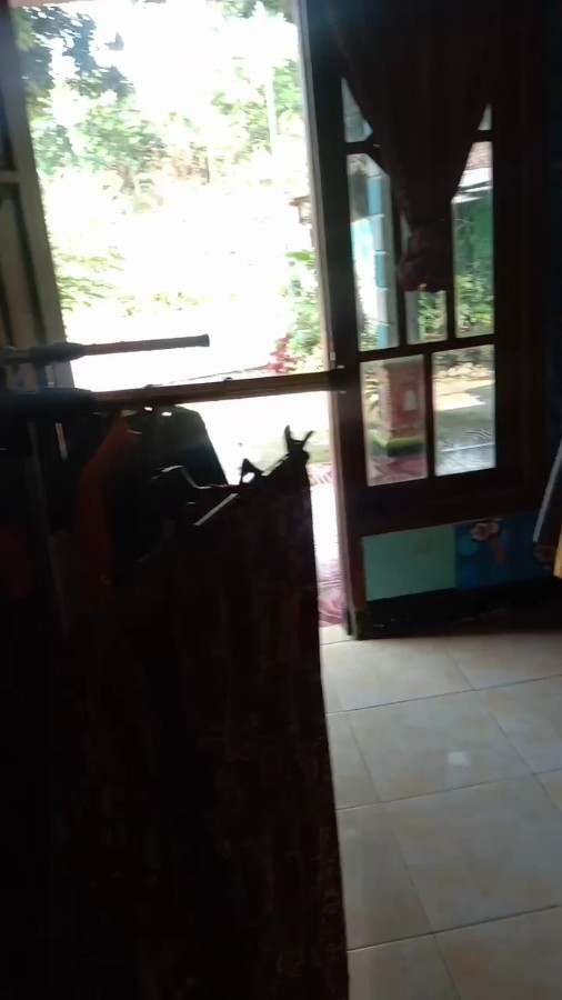 500 Gr Kantong Kresek Motif Sapi Imut 500 Gr . Hd Motif Online Olshop Uk 24 Cm