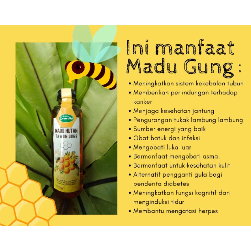 

Madu Hutan 350ml, Madu Gung, Madu Murni, Madu Asli 100%