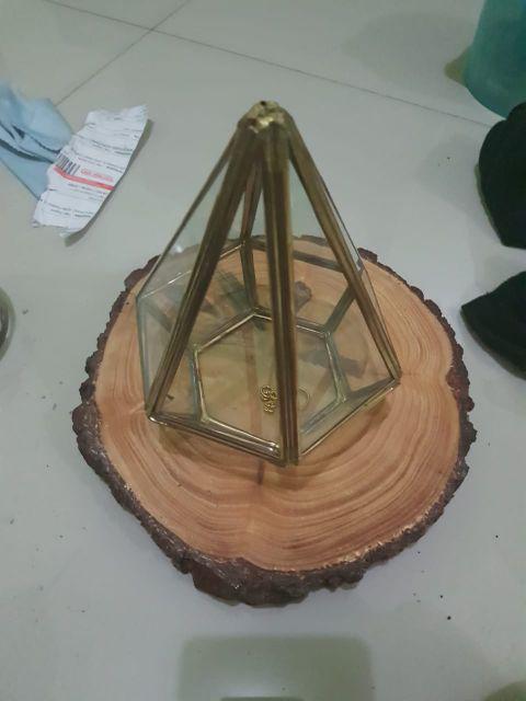 Satu Set Tempat Cincin Pengait Dan Woodslice