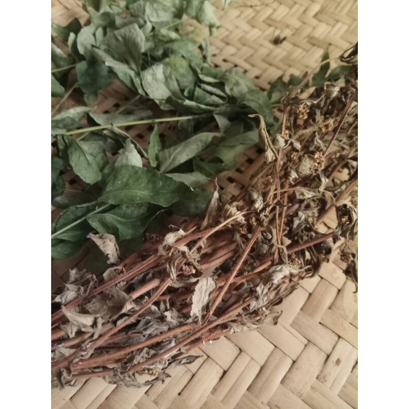 

paket chia seed & teh herbal (patikan kebo)