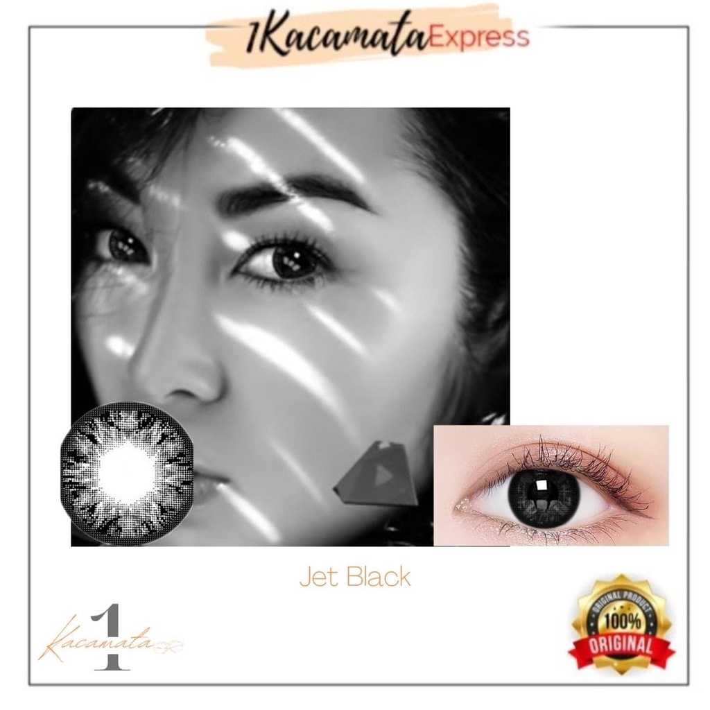 SOFTLENS WARNA EXOTICON X2 KOKO BLACK