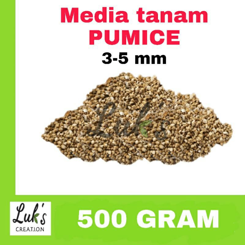 Media tanam PUMICE 500 gram batu apung porous untuk kaktus