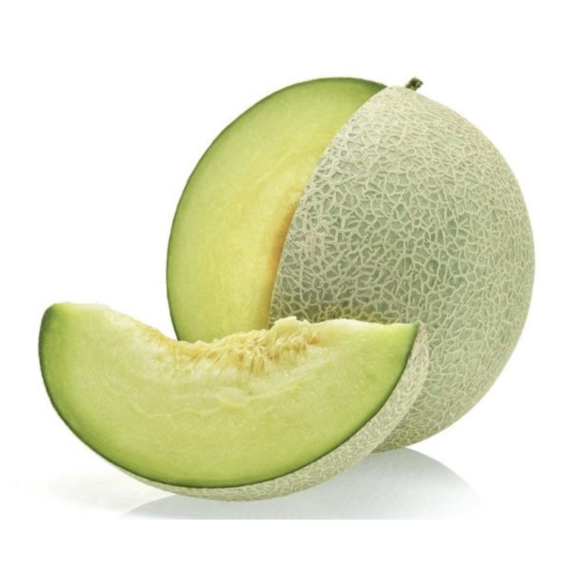 Benih MELON HIJAU F1 Melani melon putih  4 biji