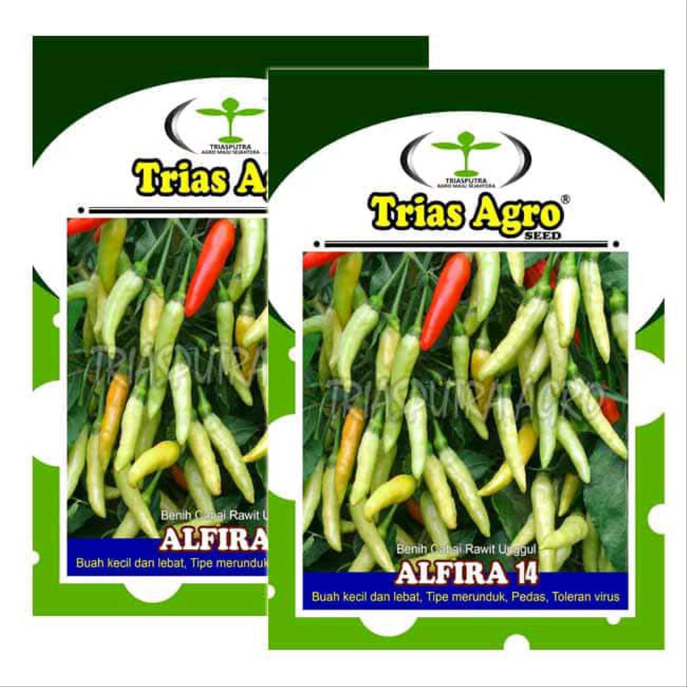 Benih Cabe Rawit Putih ALFIRA 14-Bibit Cabe Rawit Unggul Varieta