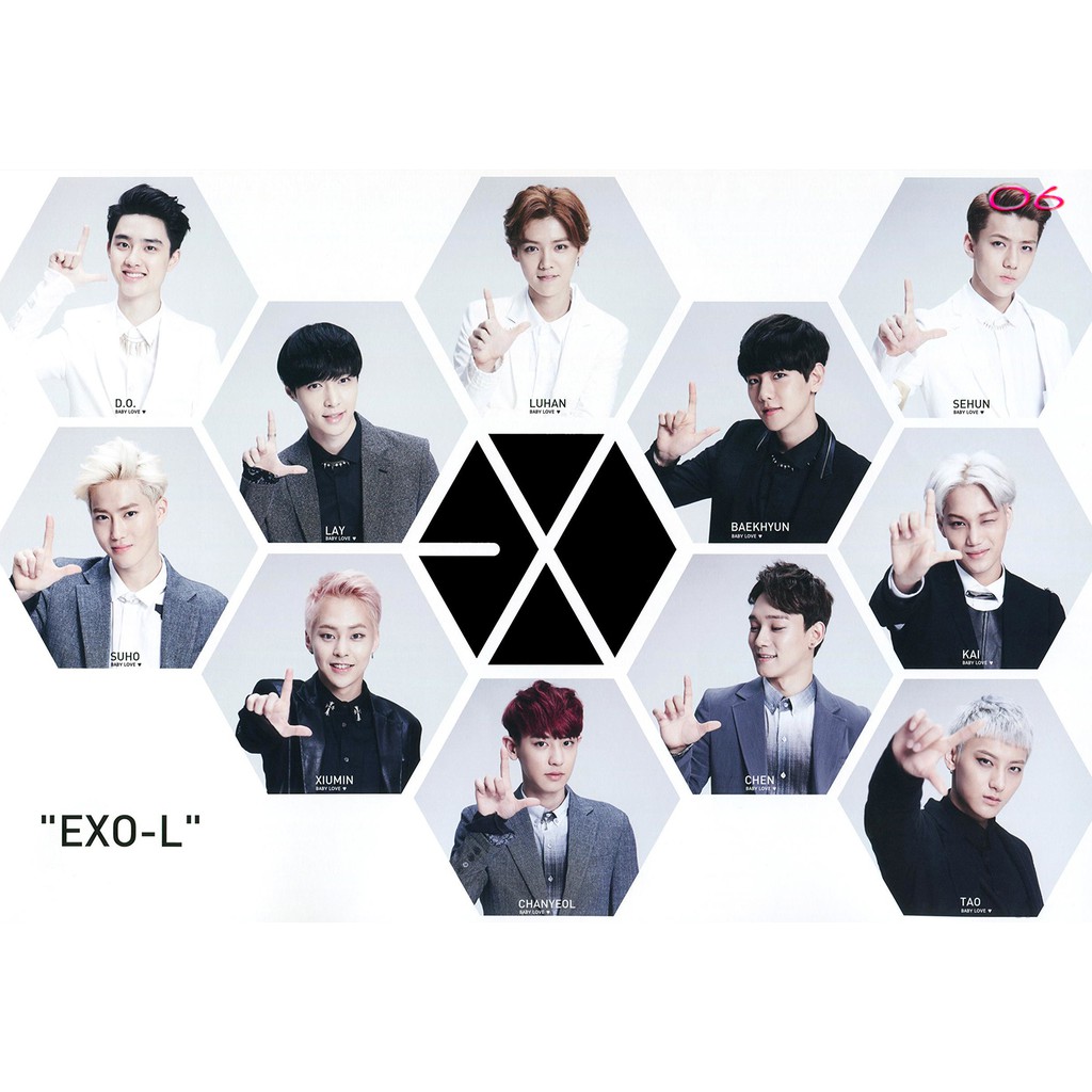 Hiasan dinding exo