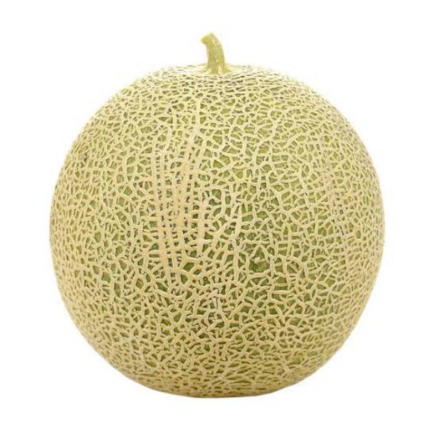 

Melon per butir 1 bandung