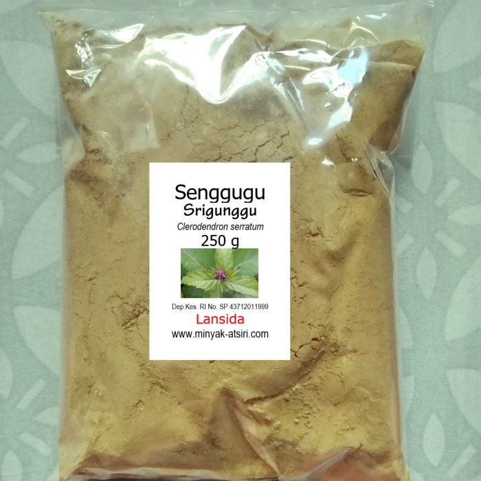 

Bubuk Daun Srigunggu 250 g Serbuk Senggugu Sirgunggu Sagunggu